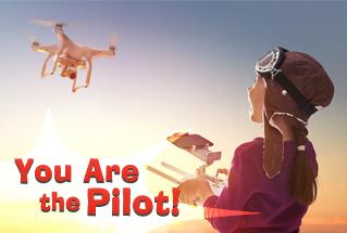 You Are the Pilot!