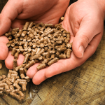 Hands holding wood stove pellets
